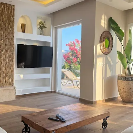 Mit Panorama-meerblick 20m Privatpool ヴィラ